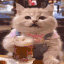 catbeer emote for Discord
