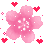 PinkCherryBlossom emote for Discord