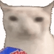 Chips_cat emote for Discord