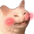 kitty_blush emote for Discord