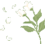 FlowersAndPetals emote for Discord
