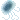 JellyFish emote for Discord
