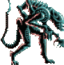 xeno emote for Discord