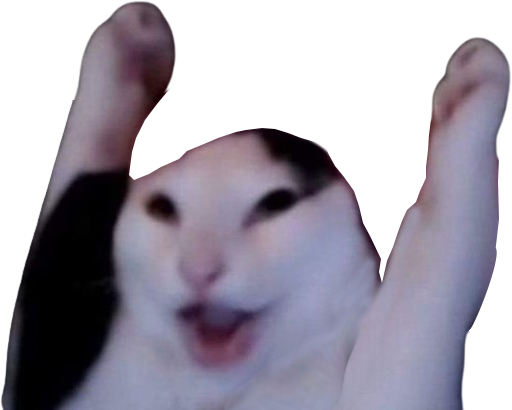 yeycat emote for Discord