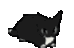 jammers emote for Discord