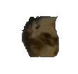 oiiaooiia emote for Discord