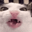 munch emote for Discord