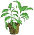 HousePlant emote for Discord