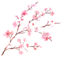 CherryBlossomBranch emote for Discord