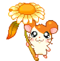 HamtaroSunflower emote for Discord