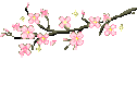 CherryBlossomTree emote for Discord
