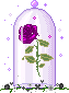 GlassDomeRose emote for Discord