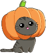 pumpkin_cat emote for Discord