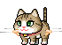 KittyDizzySpin emote for Discord