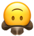 UpsideDownCowboy emote for Discord