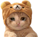 kitty_sad emote for Discord