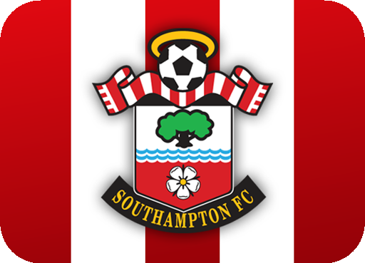 southampton_fc_flag emote for Discord