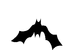 black_bat emote for Discord