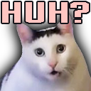 HuhCat emote for Discord
