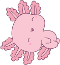 PinkAxolotl1 emote for Discord