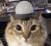 ALERT emote for Discord