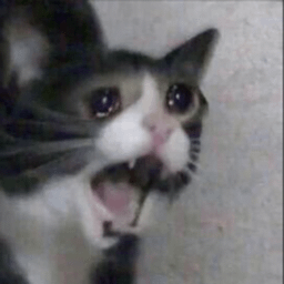 shocked emote for Discord
