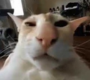 Guh emote for Discord
