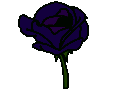 VioletRoseBlooming emote for Discord