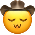 OwOcowboy emote for Discord