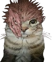 sukunaEHH emote for Discord