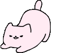 PlayfulCat emote for Discord