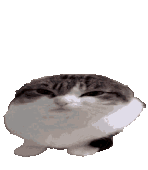 Wawa_animated emote for Discord