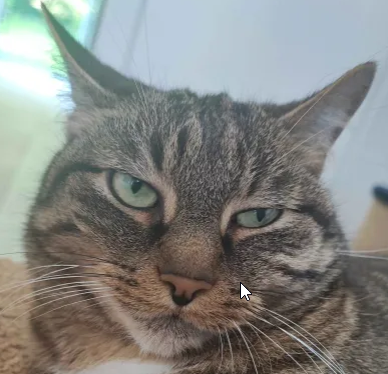 SideEyes emote for Discord