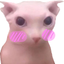BingusBlush emote for Discord