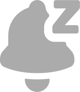 silent_discord_official2024 emote for Discord