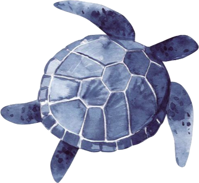 blueturtle emote for Discord