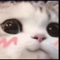 NotGuilty emote for Discord