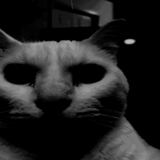 uncanny_cat emote for Discord