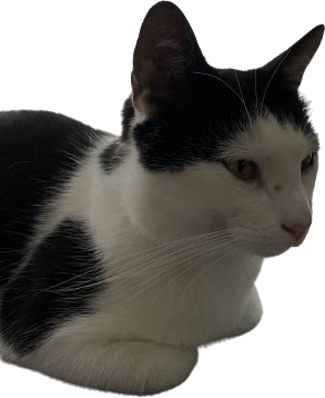 Lenny emote for Discord