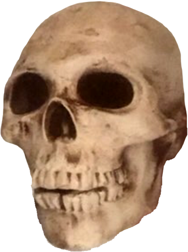 skull emote for Discord