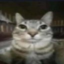 Nutz emote for Discord