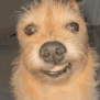 heyy emote for Discord