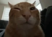 buh emote for Discord