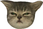 COP_Sulking_Cat emote for Discord