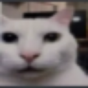 Cat_Huh_Stare emote for Discord
