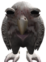 Cute_Wet_Owl emote for Discord