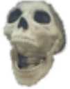 Skull_Lmao emote for Discord