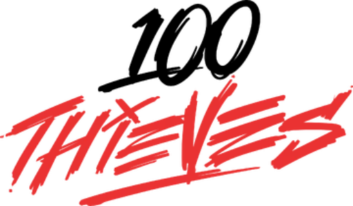 100thieves emote for Discord