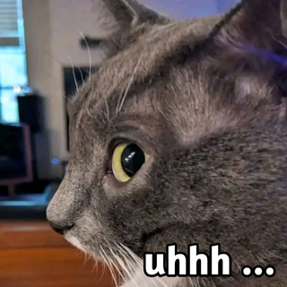 uhhh_cat emote for Discord