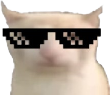 Cool_bruh_cat emote for Discord